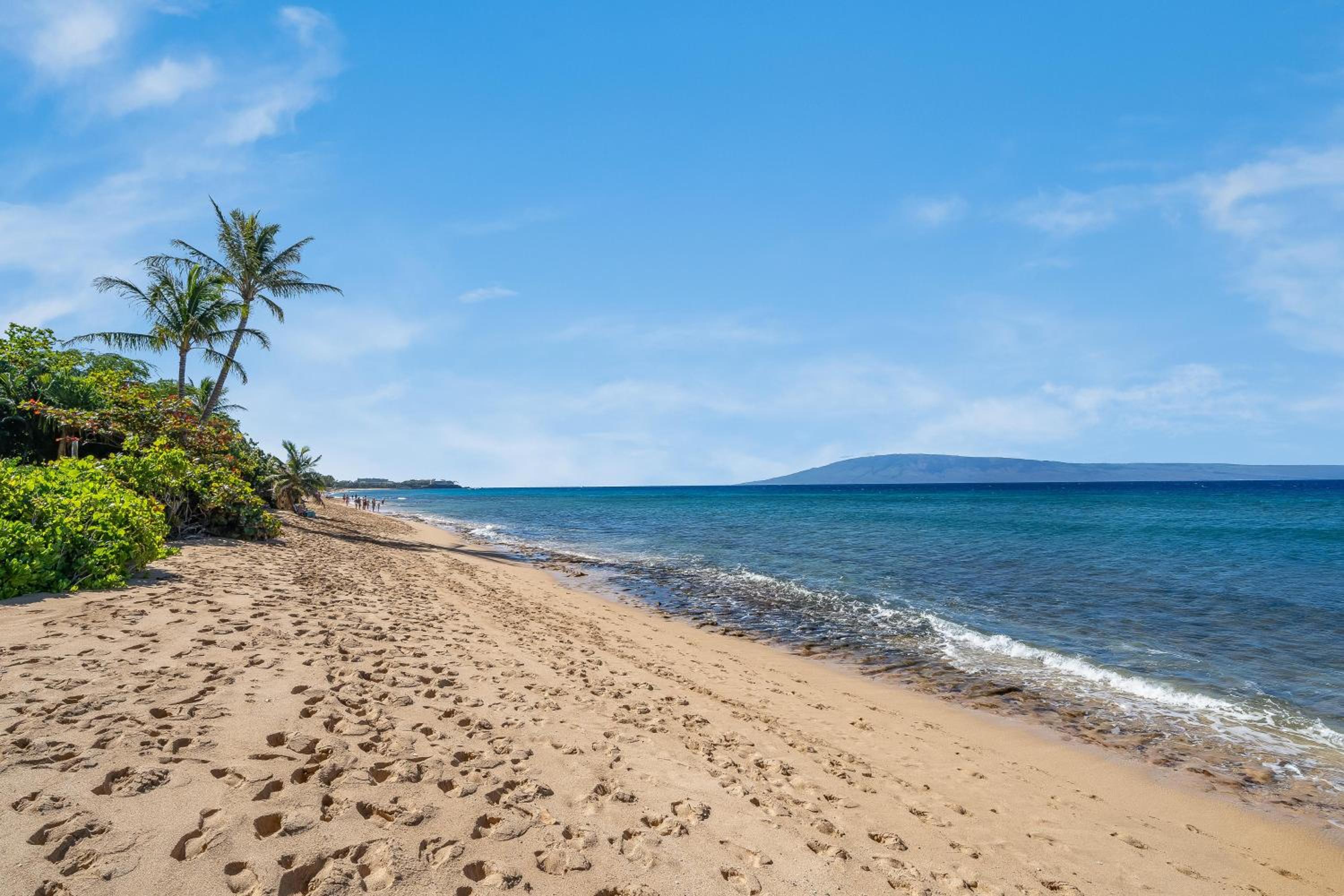 Mahana 602 · MA 602 Kaanapali OceanFront Studio Ocean View Pool