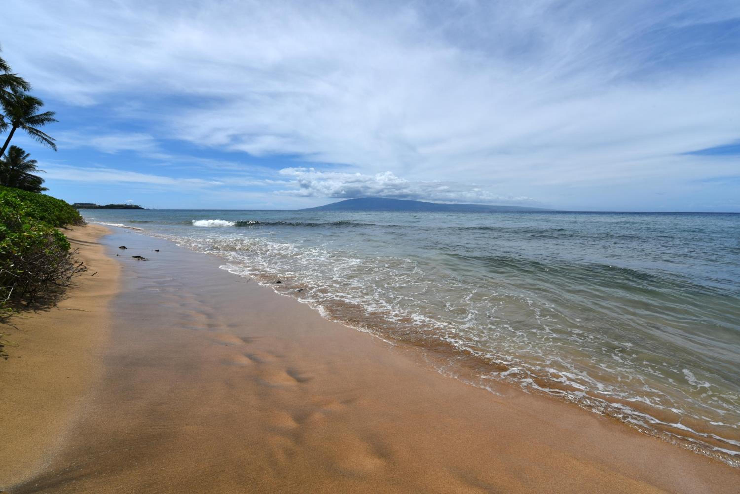 Mahana 501 · MA501 OceanFront 2BD w Ocean View