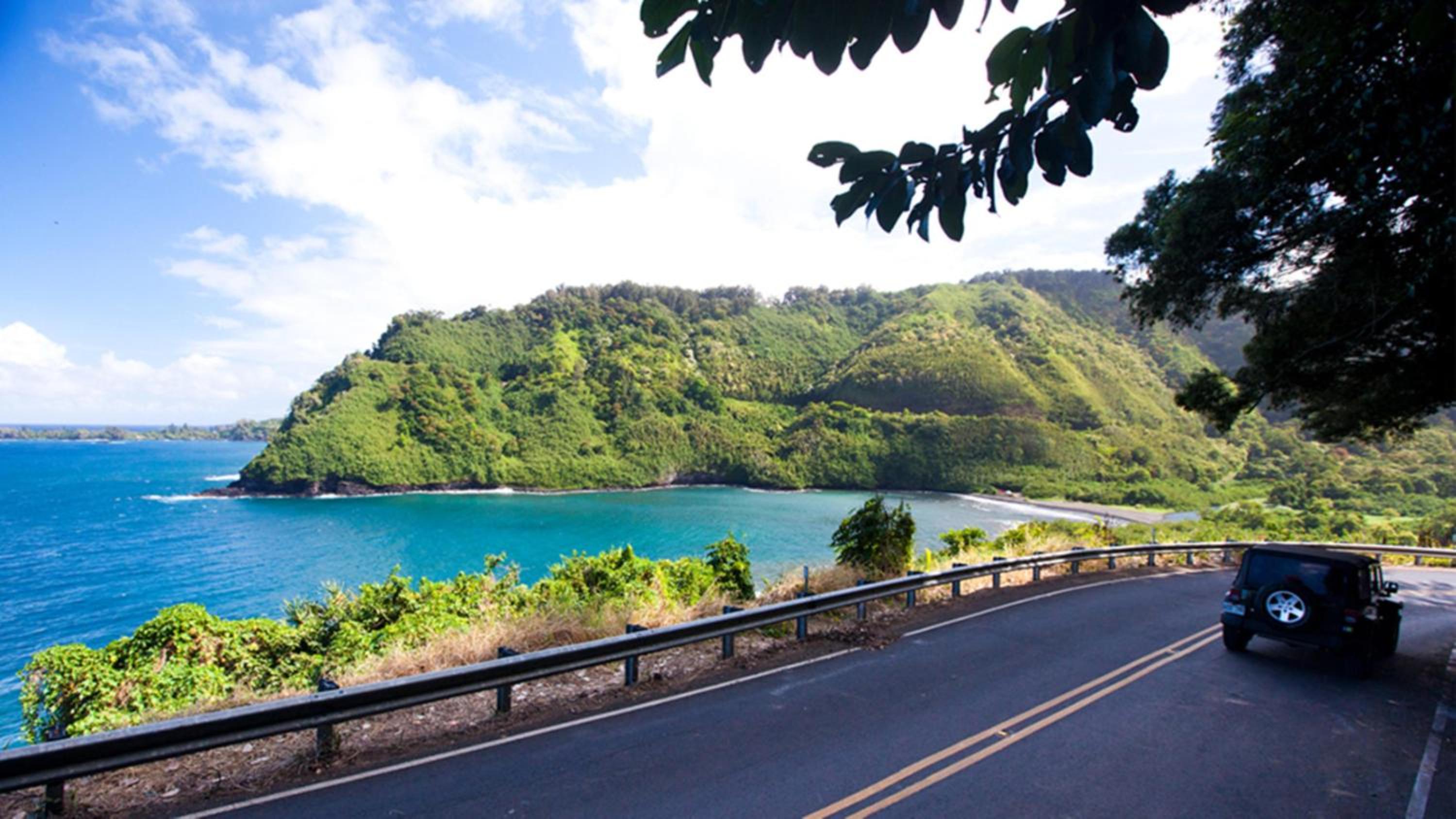 Kulakane 211 · KK 211 Updated OceanFront Whale Watching