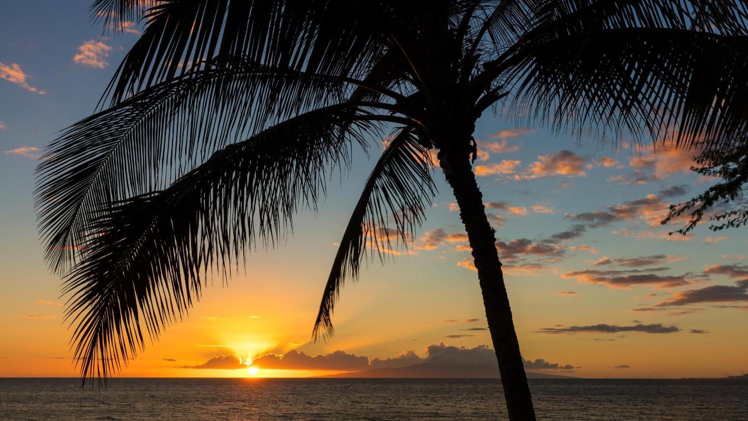 Kaanapali Shores 548