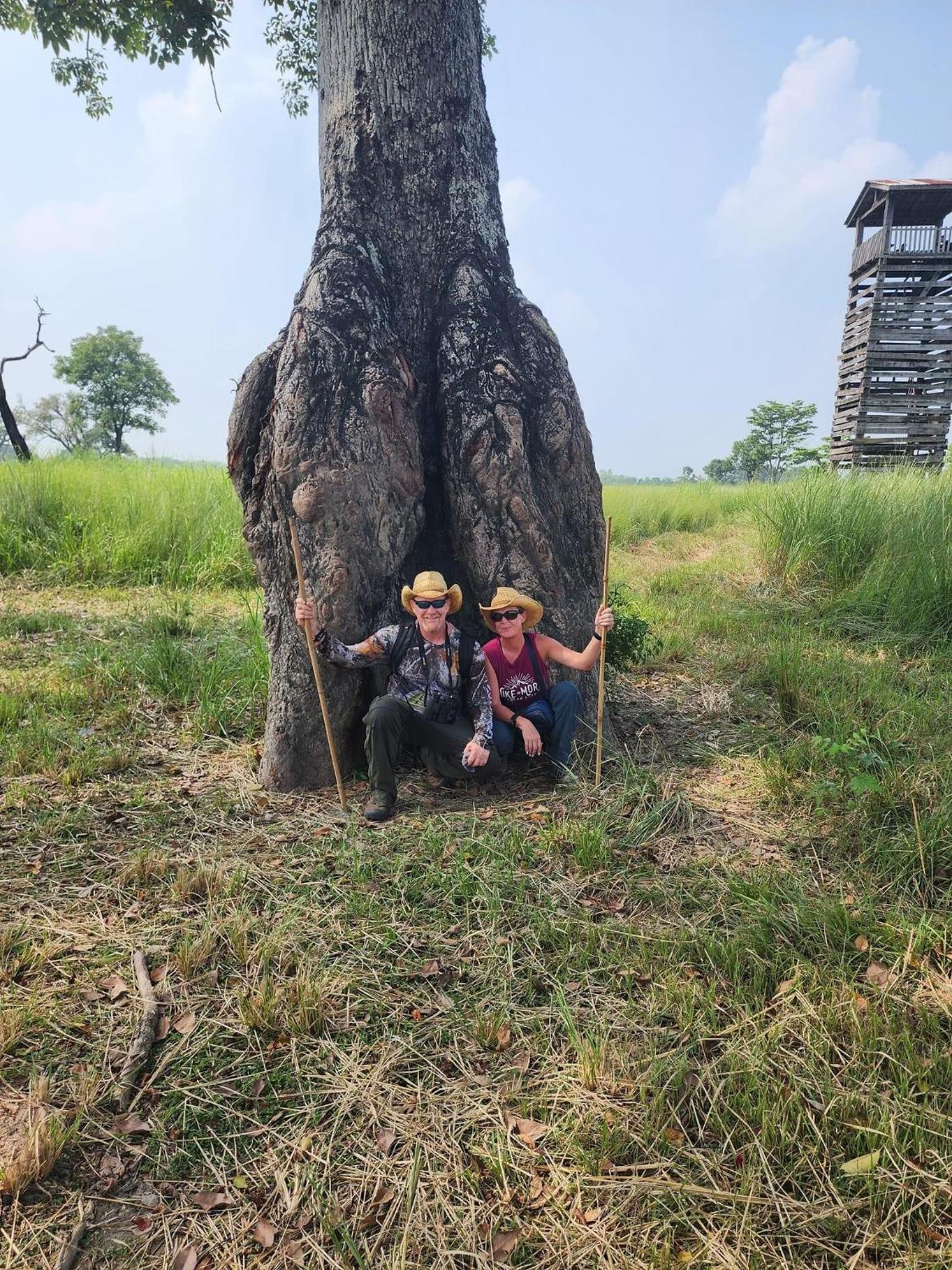Nature Safari Resort