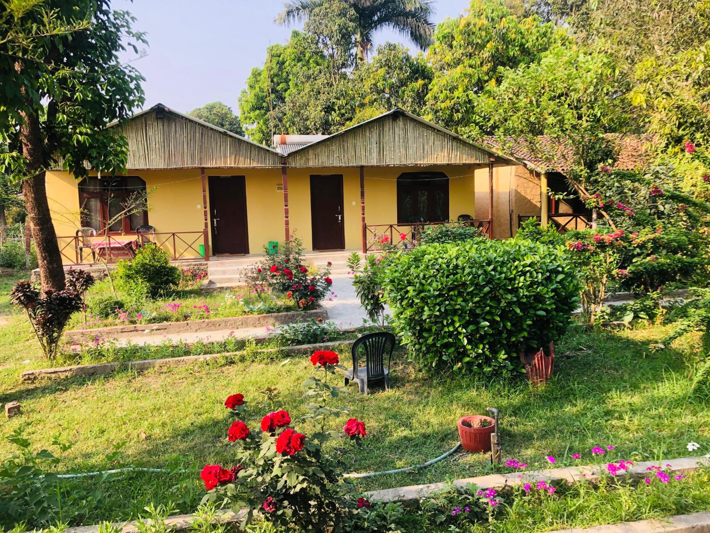 Nature Safari Resort