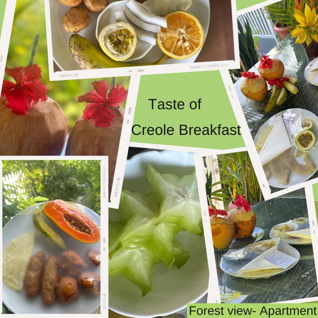 Forest View Apartments Seychelles photo 2