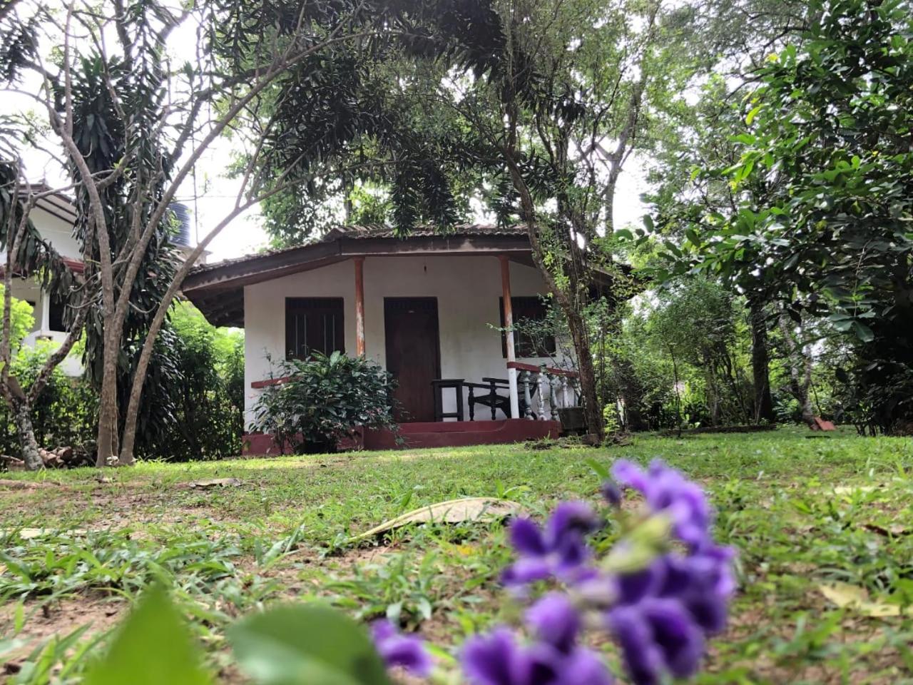Calm Garden Cabanas view 4