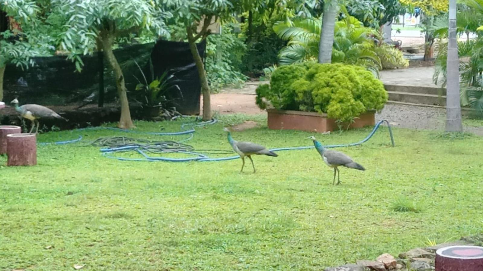 Harambathenna Resort Anuradhapura