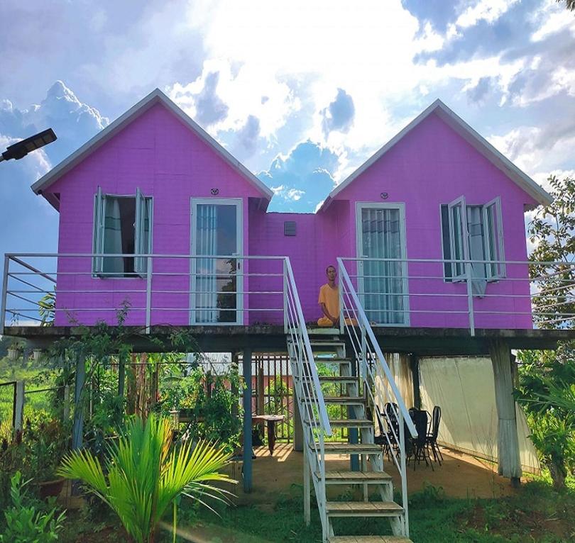 Homestay Dambri