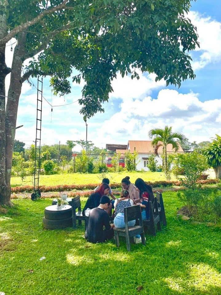 Homestay Dambri