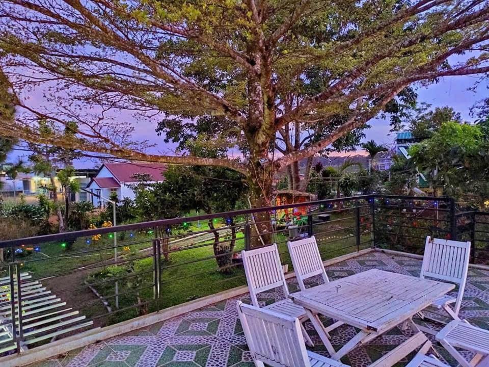Homestay Dambri