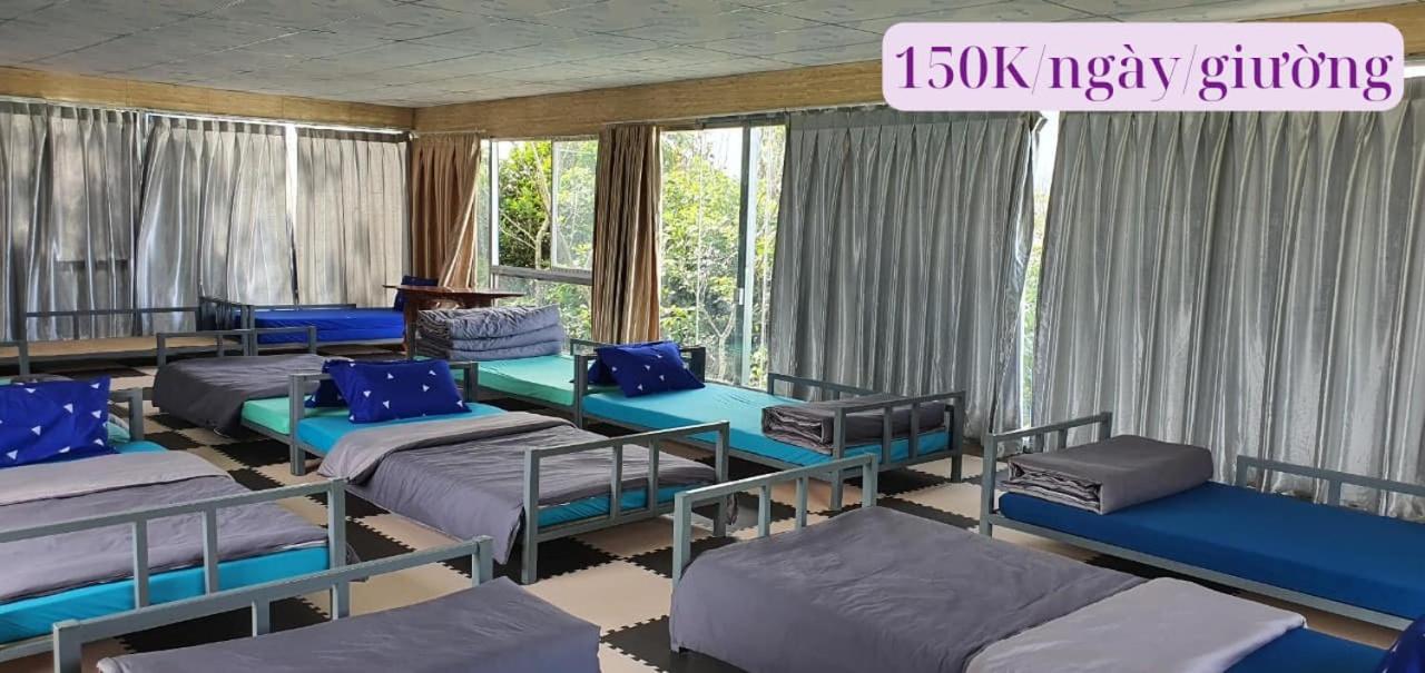 Homestay Dambri