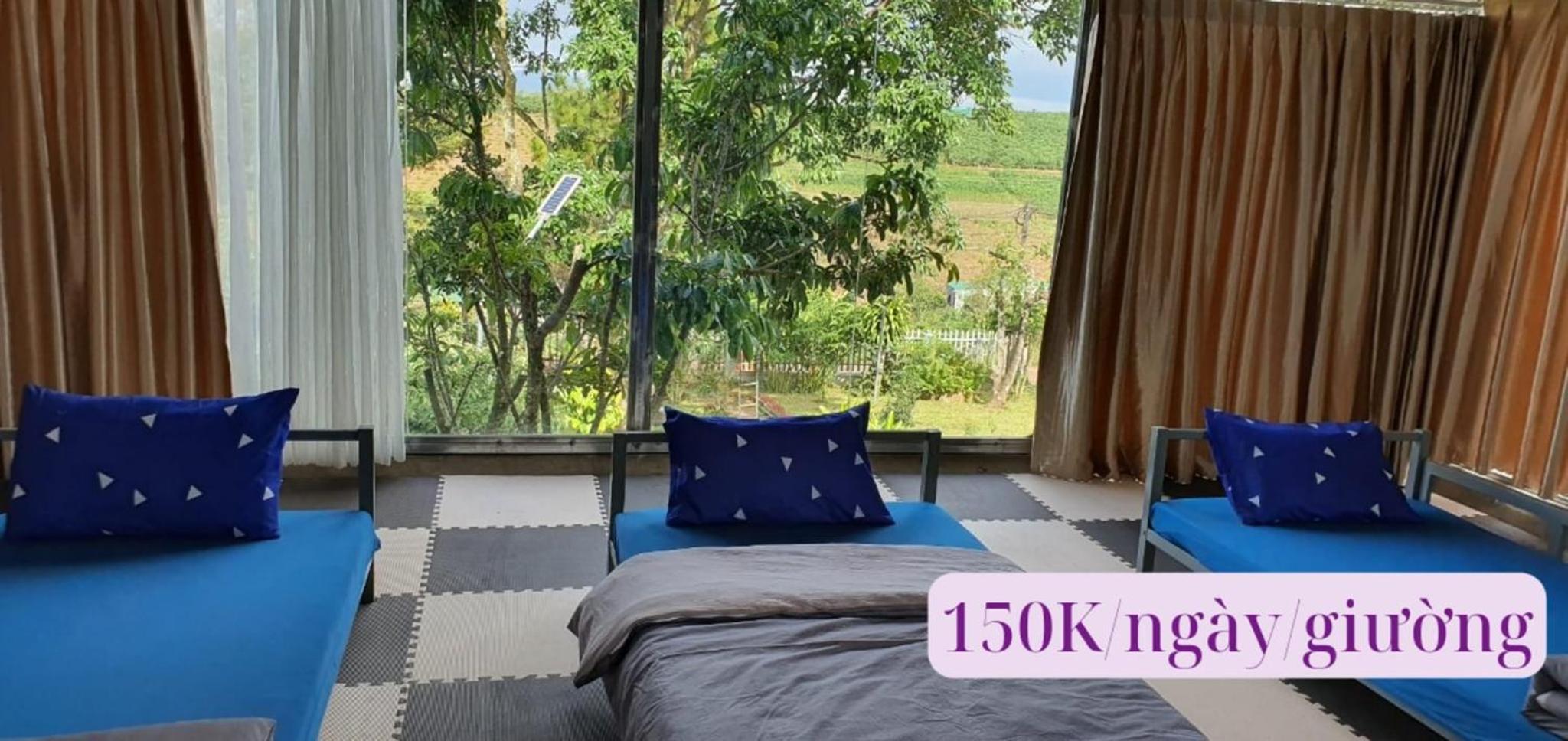 Homestay Dambri