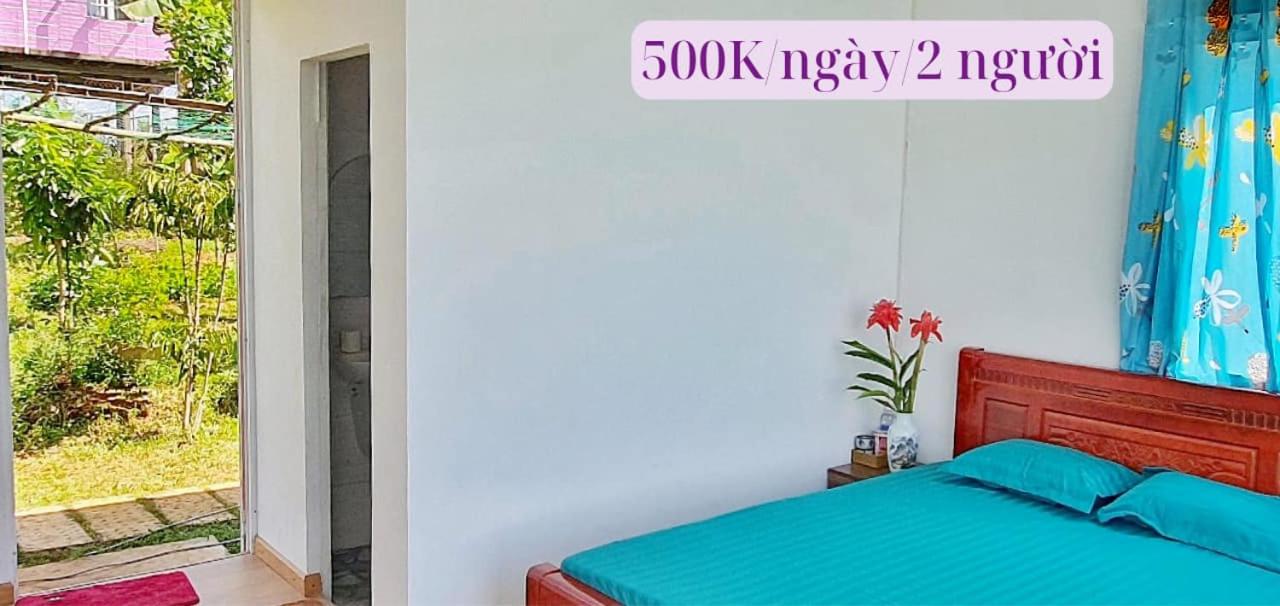 Homestay Dambri