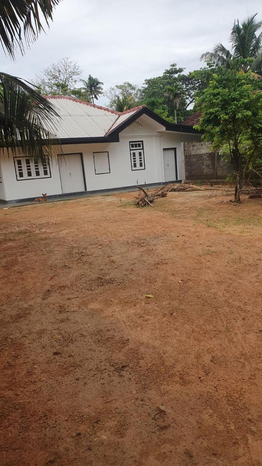 Madiha Sampath Surf Villa view 2