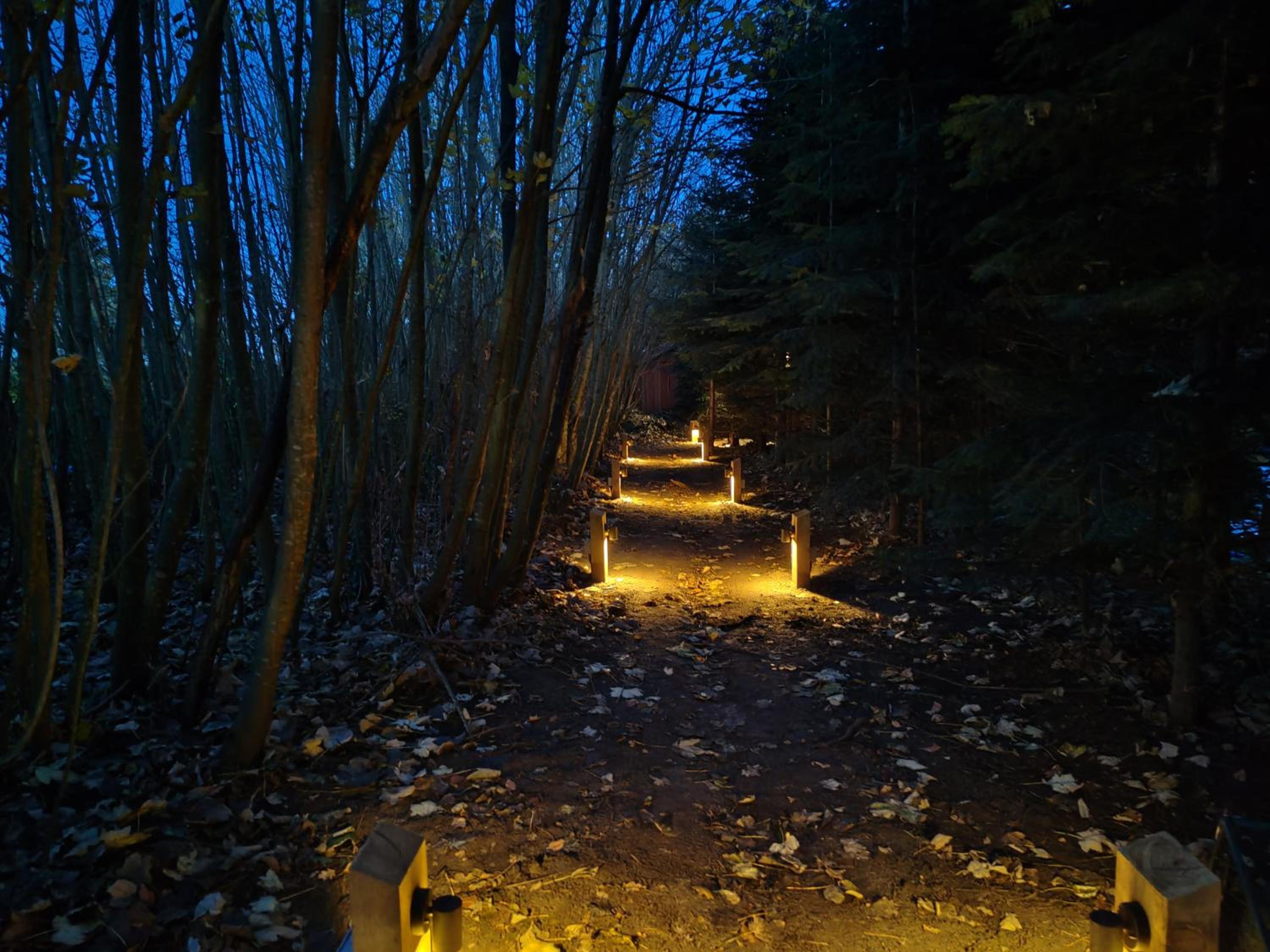 Hayne Barn Estate 6 Luxury Lodges with private hot-tubs AND 1 studio without hot-tub, photo 54