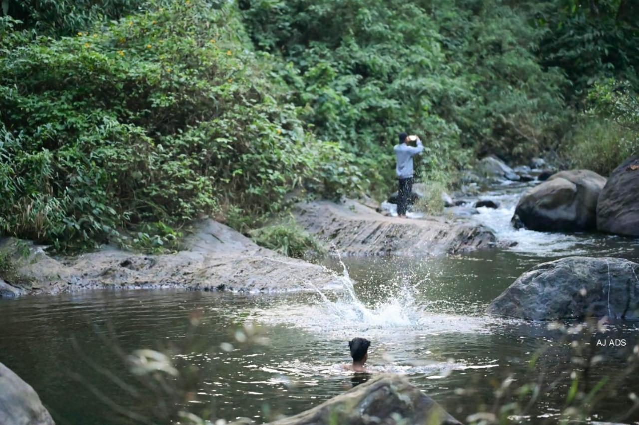 Blue creek