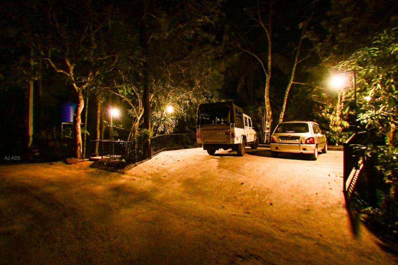 Blue creek