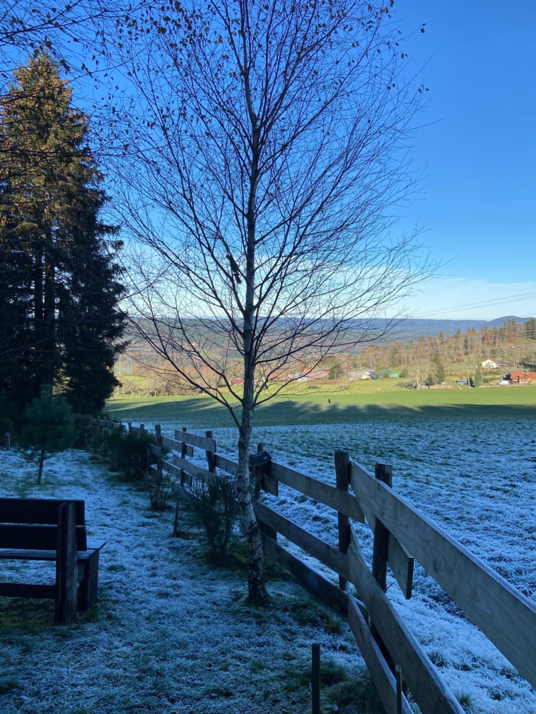 Chalet bois au calme, en lisière de forêt, balcons, sentiers balades Gérardmer & Alsace 