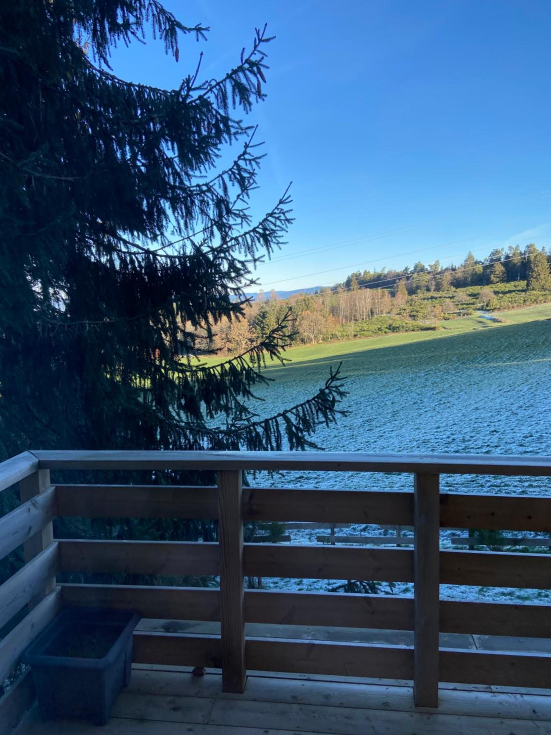 Chalet bois au calme, en lisière de forêt, balcons, sentiers balades Gérardmer & Alsace 