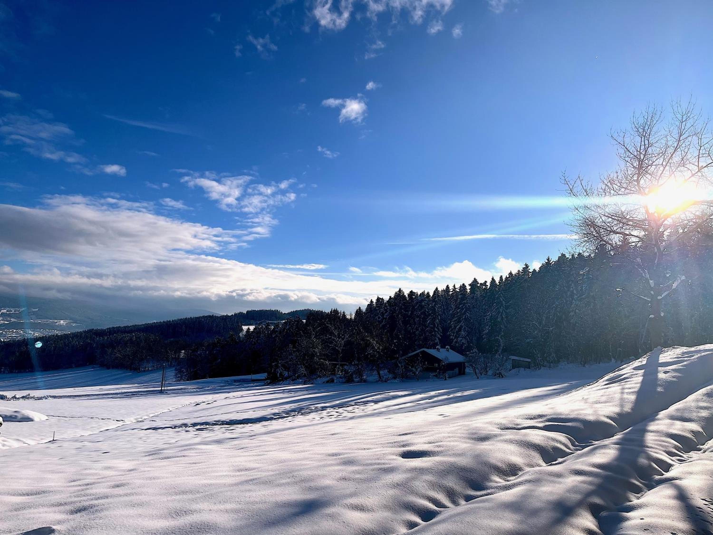 Waldlerhof