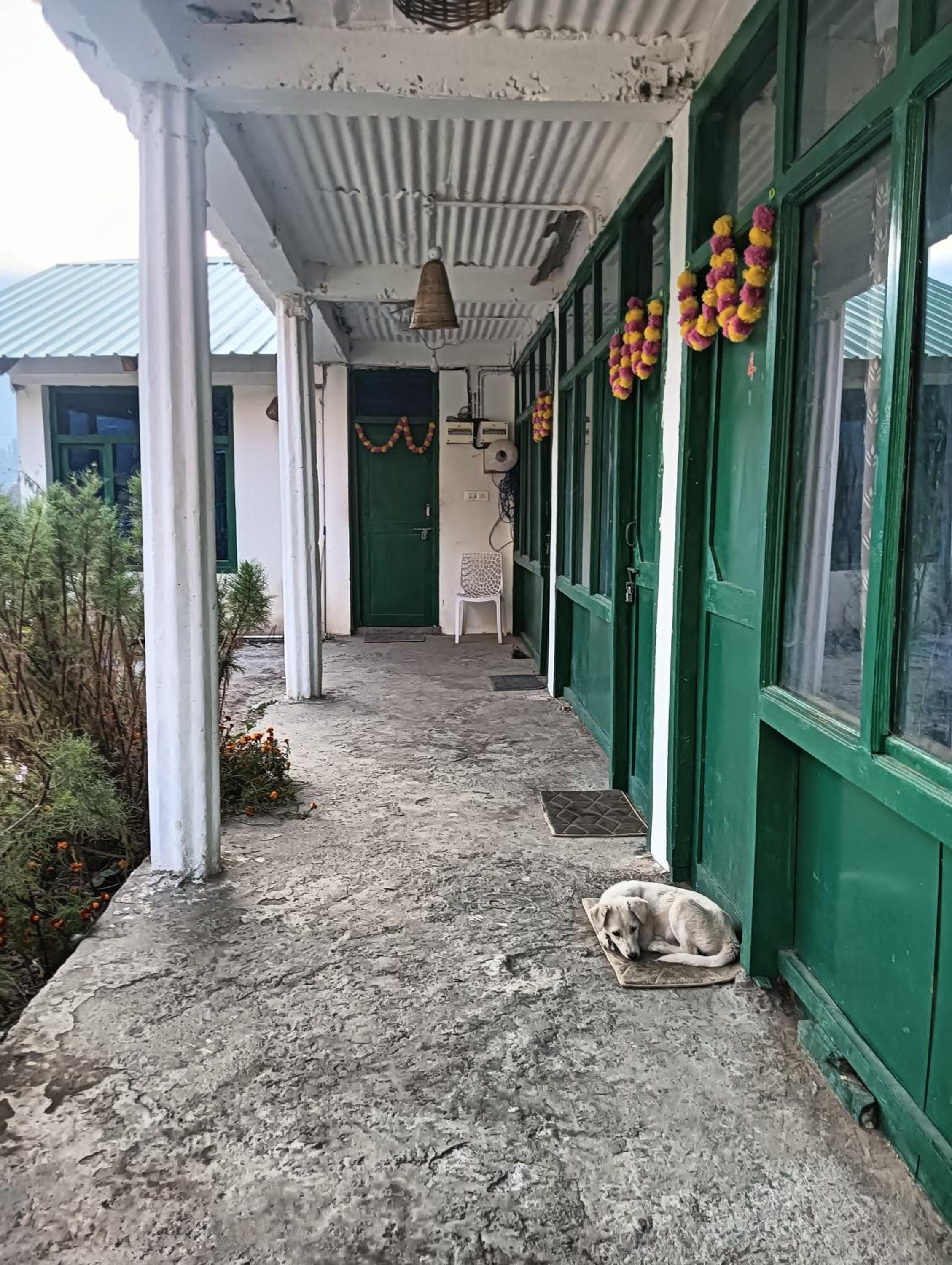 Photo 19