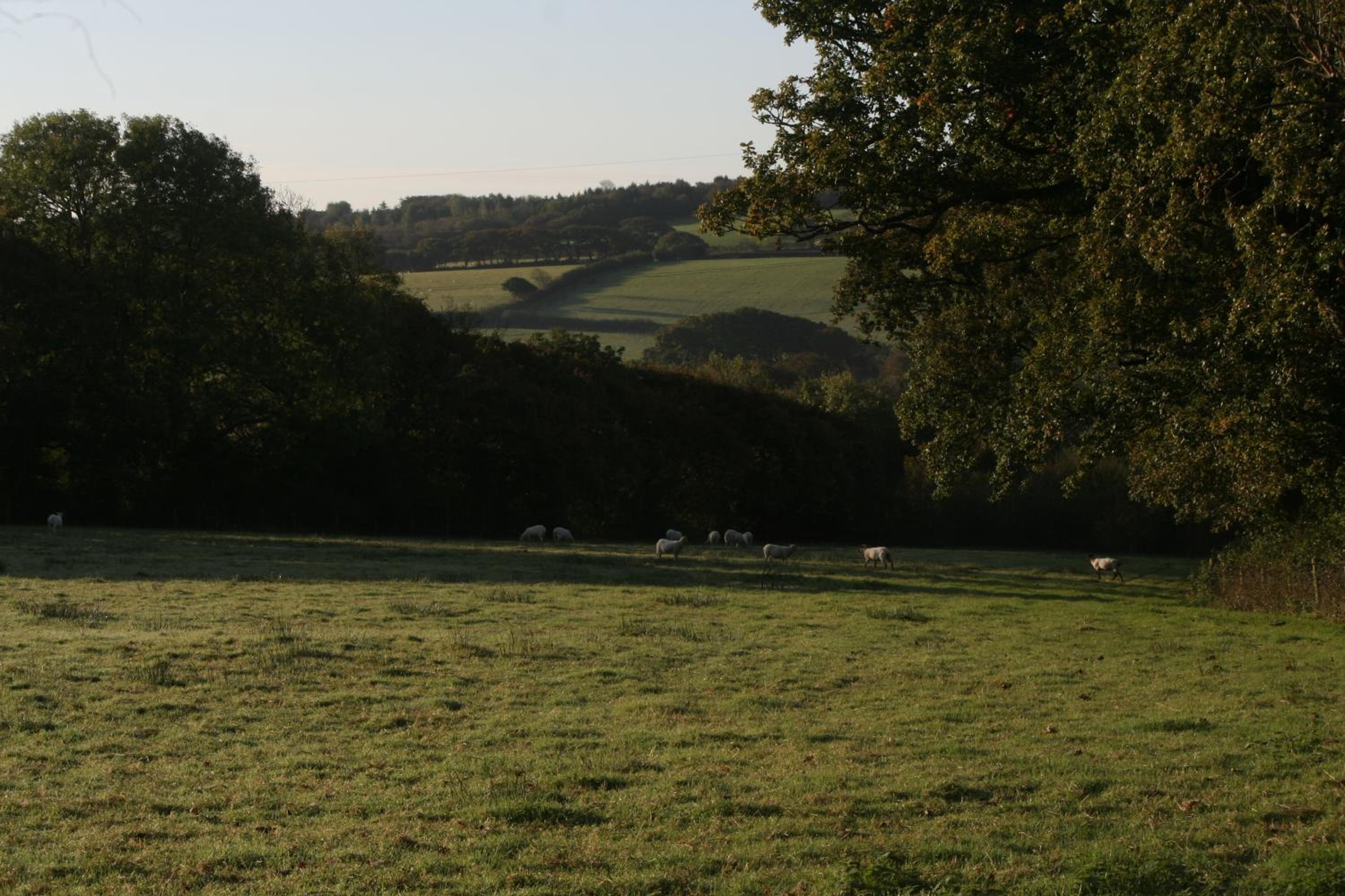 The Hay Loft view 5