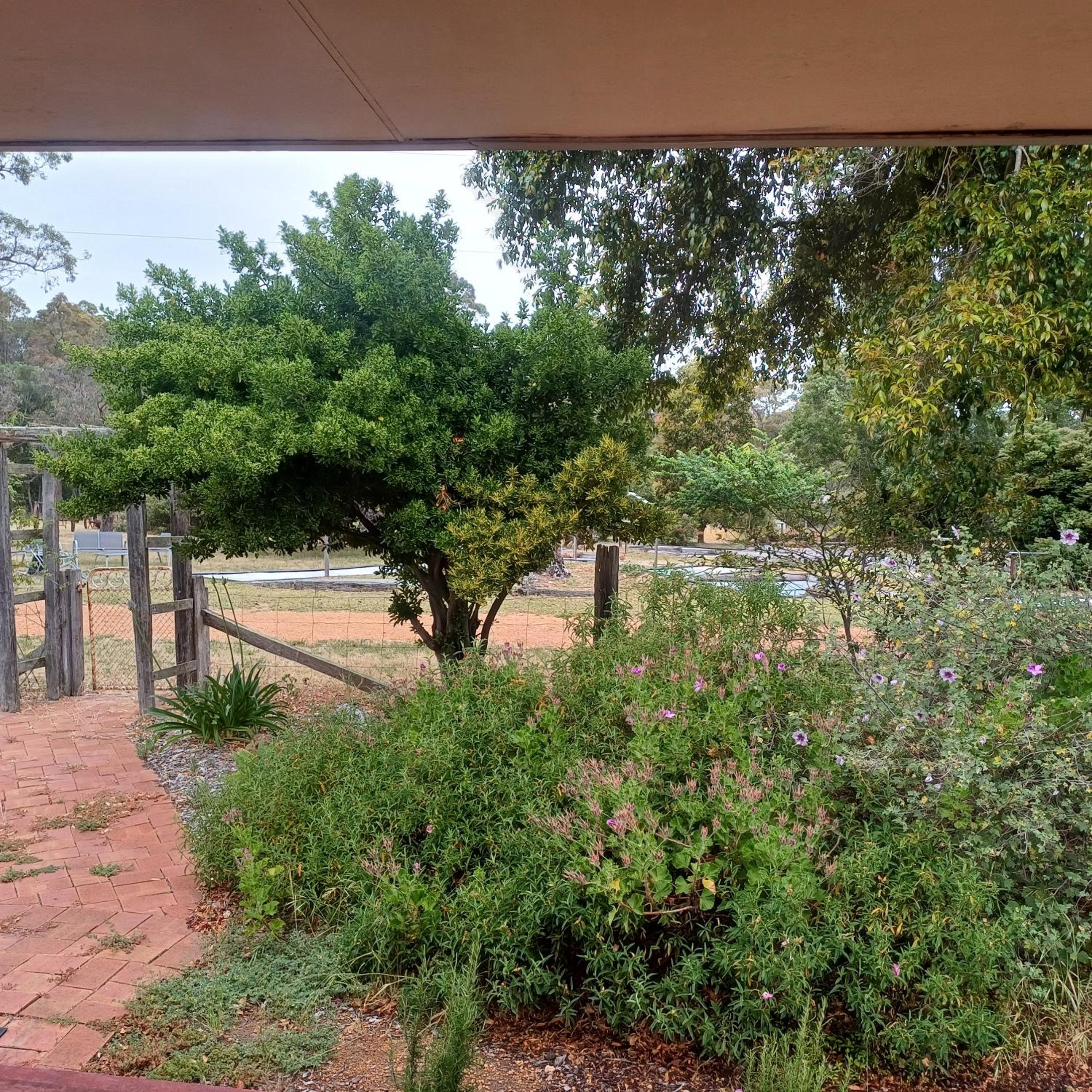 Warradale Lodge and Mini Golf