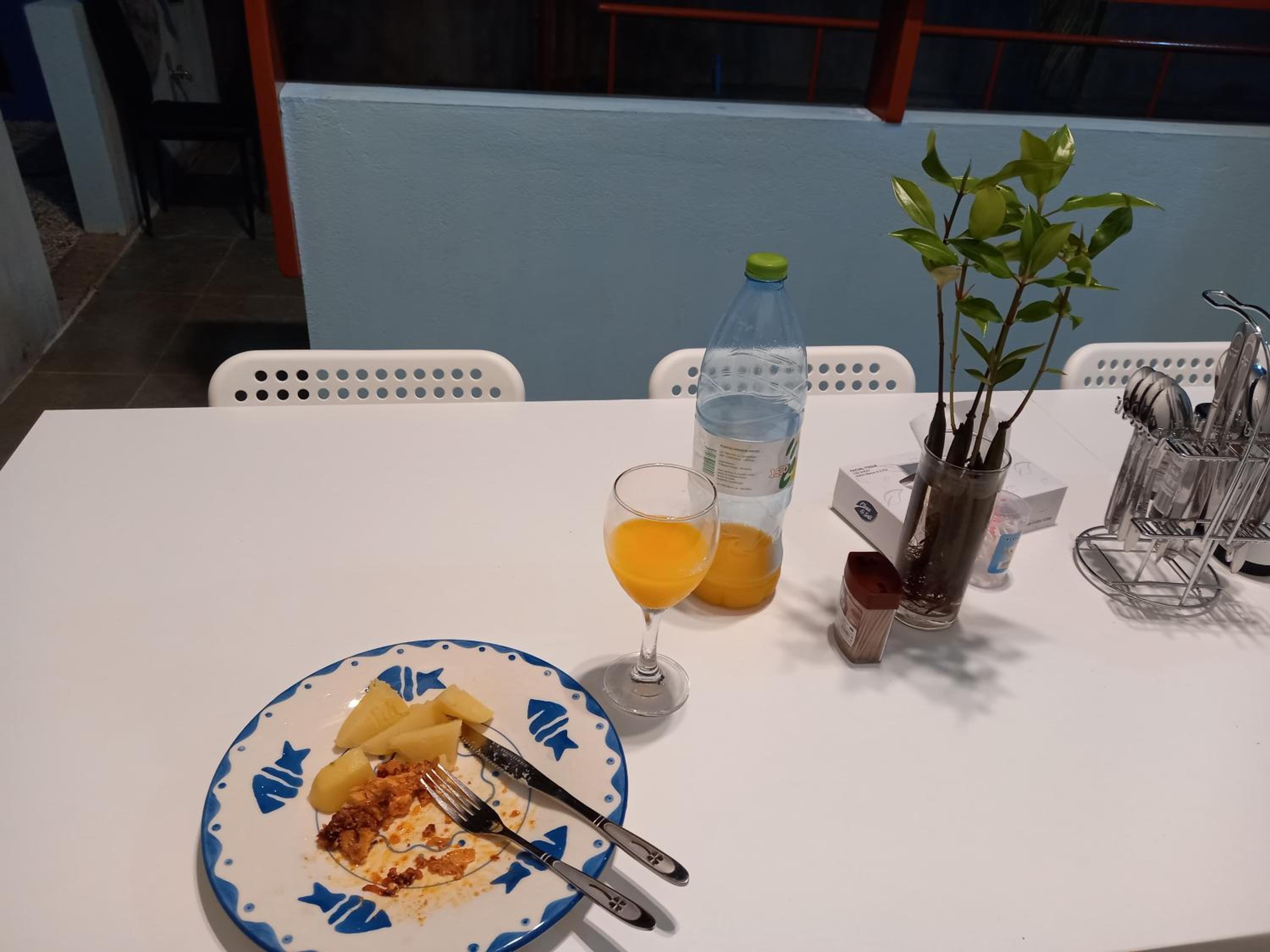 Iruka Guesthouse