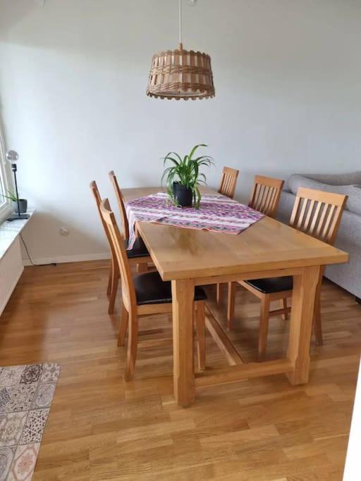 Logia Home