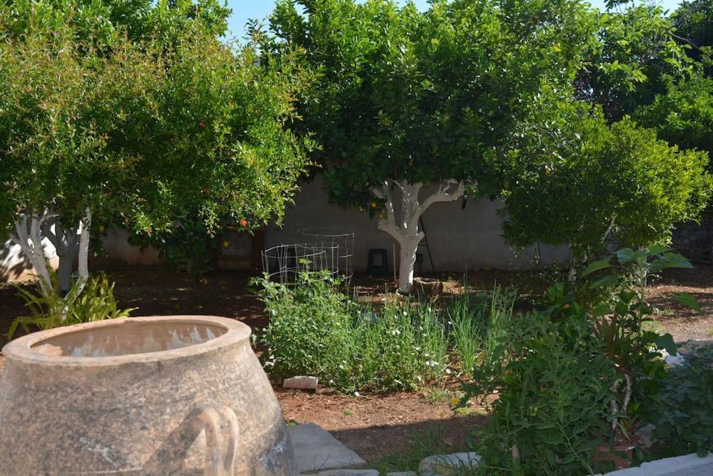 Photo 47