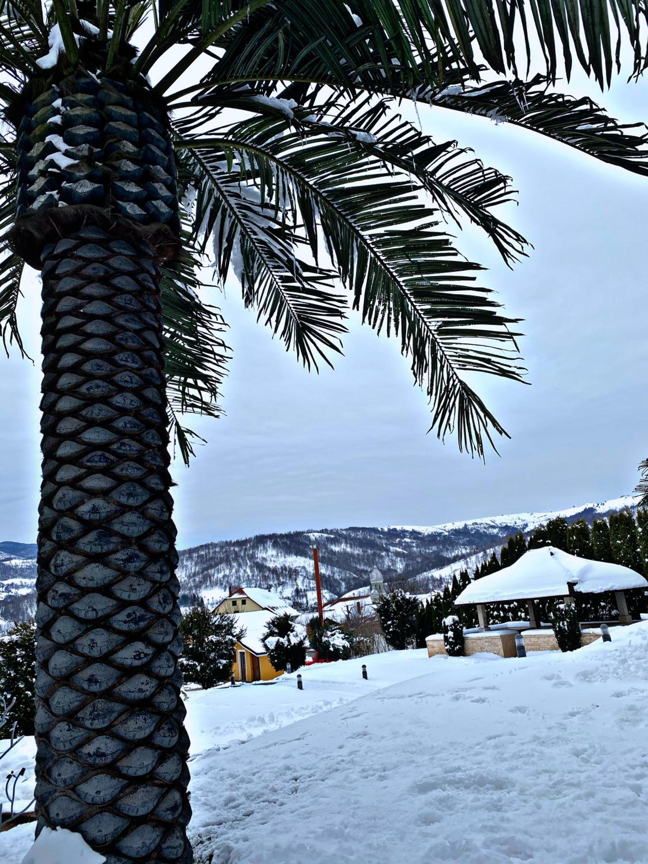ANCA RESORT & SPA - Transilvania view 2