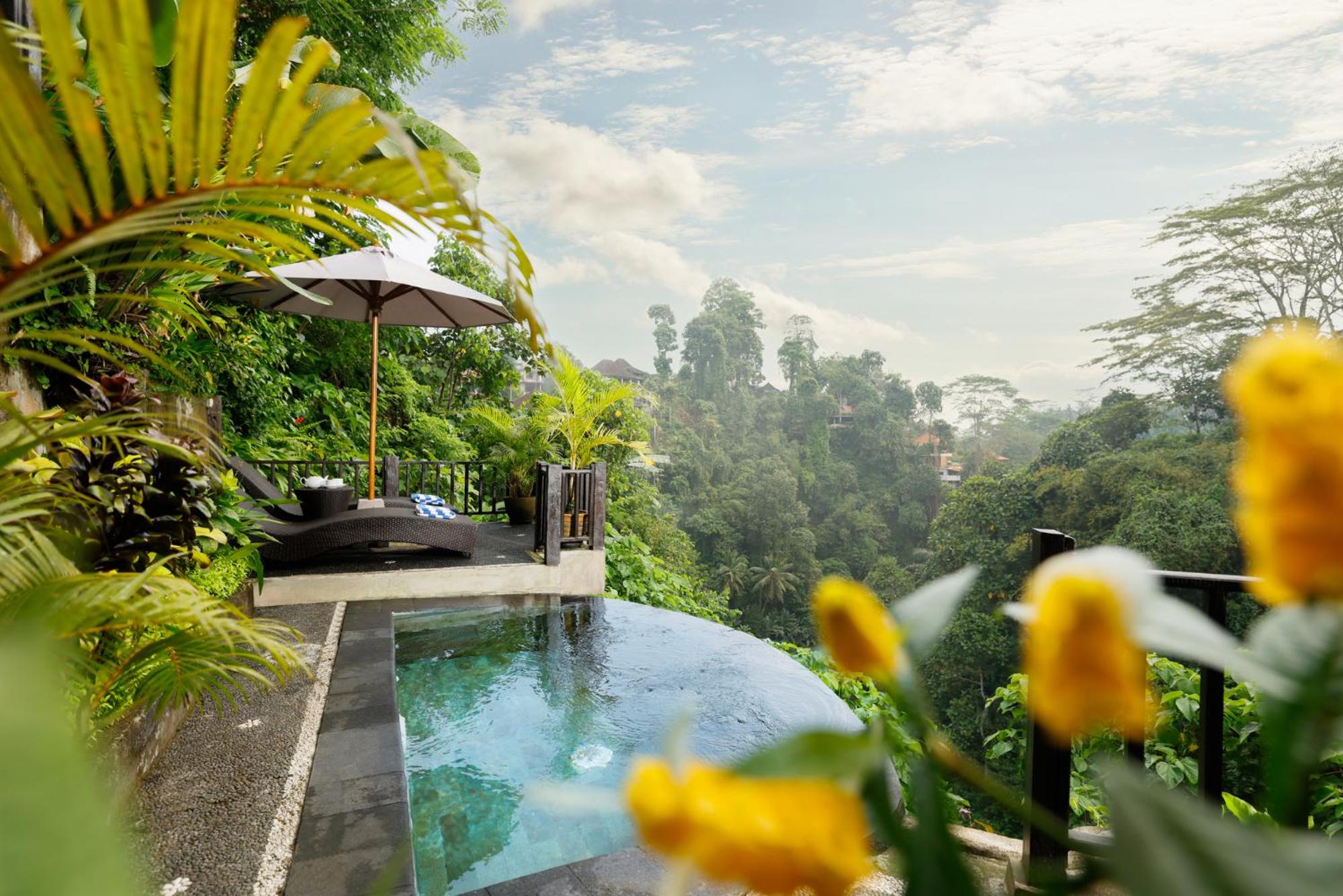 Villa Leona Valley View Ubud view 5