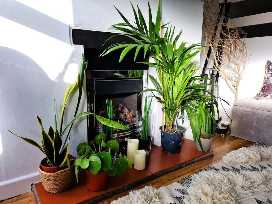 'Shakespeare Cottage' - Free Parking near Salisbury Railway Station & Walk to City view 5