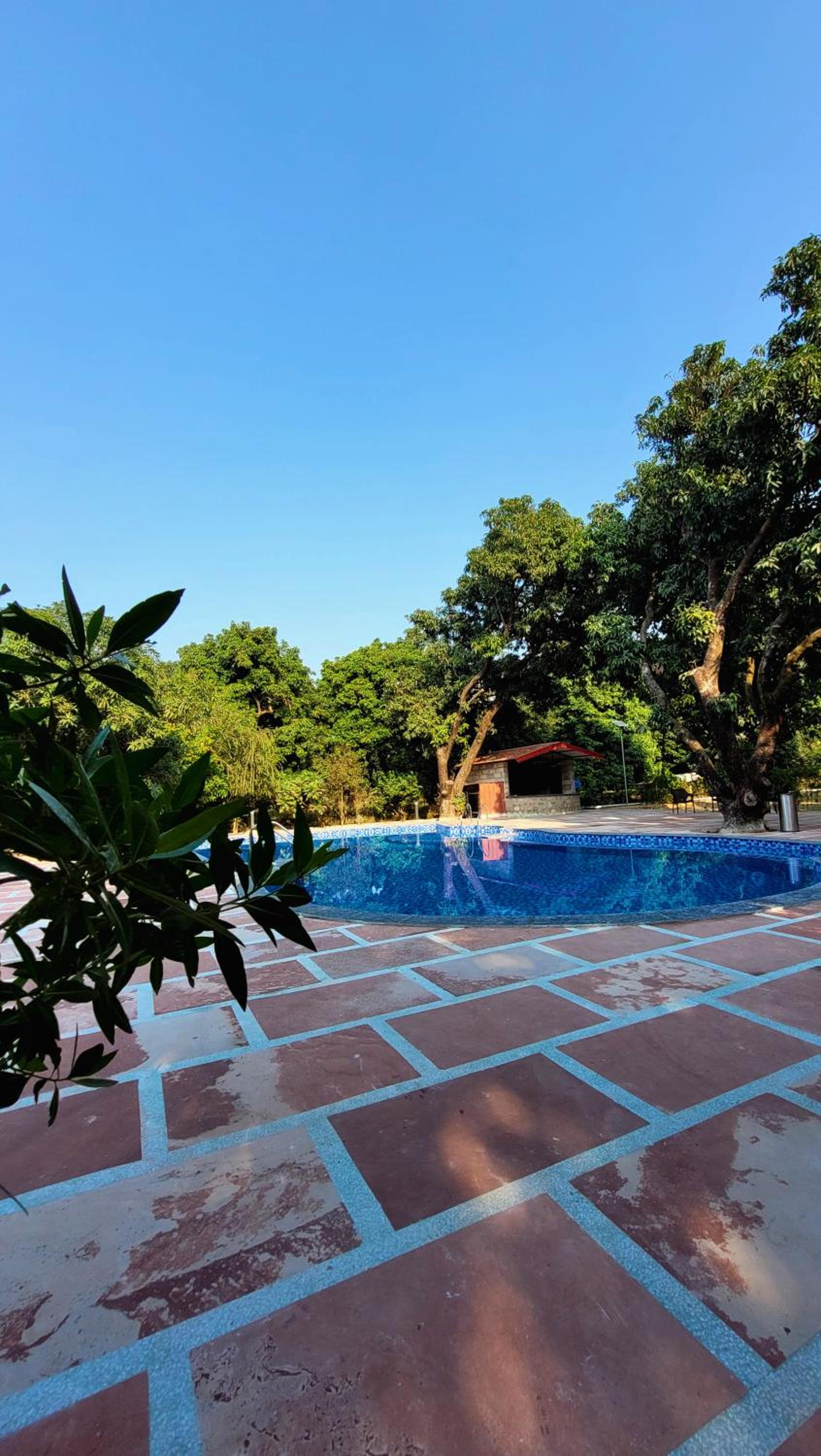 The Greenwich resort