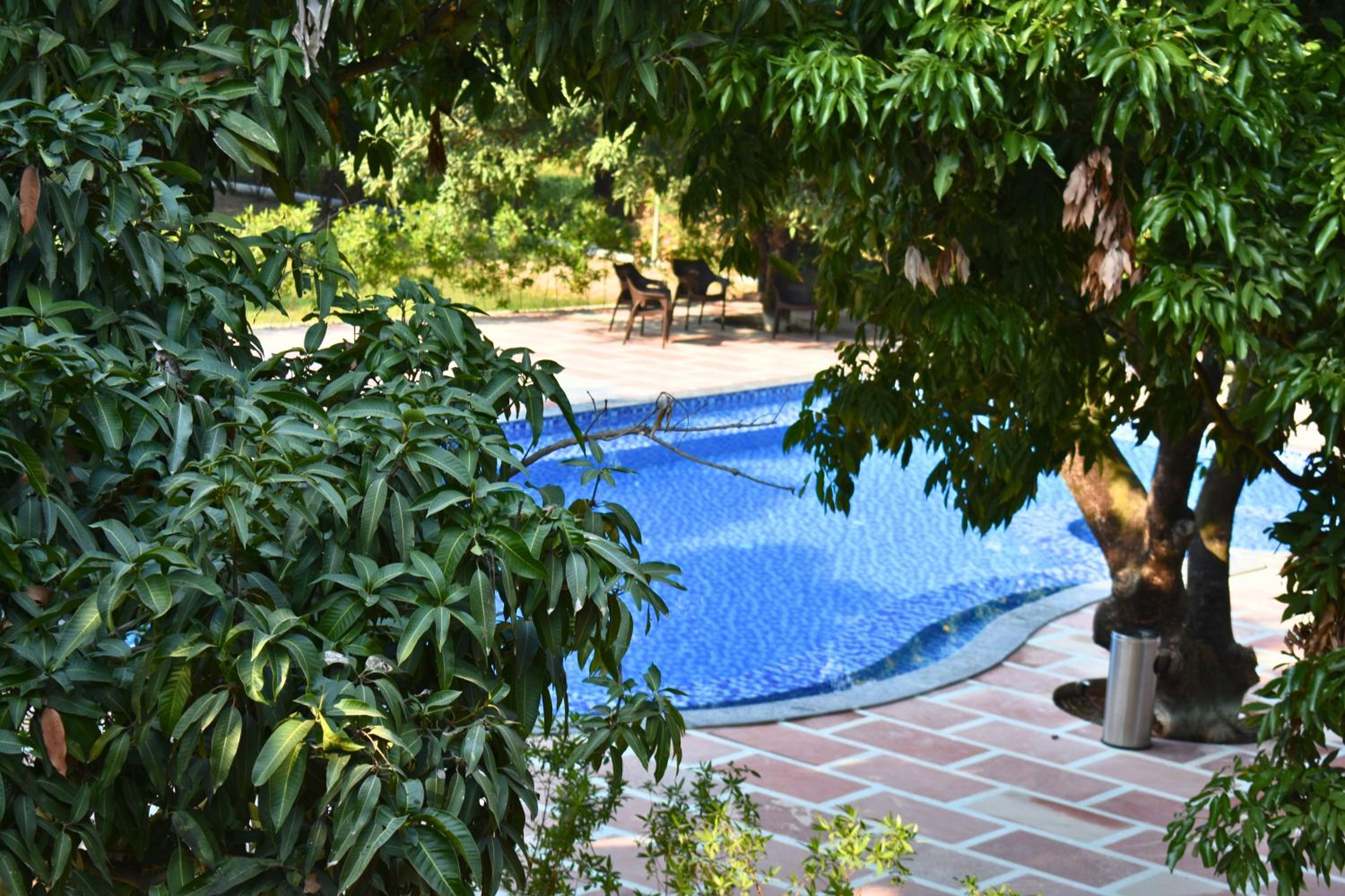 The Greenwich resort