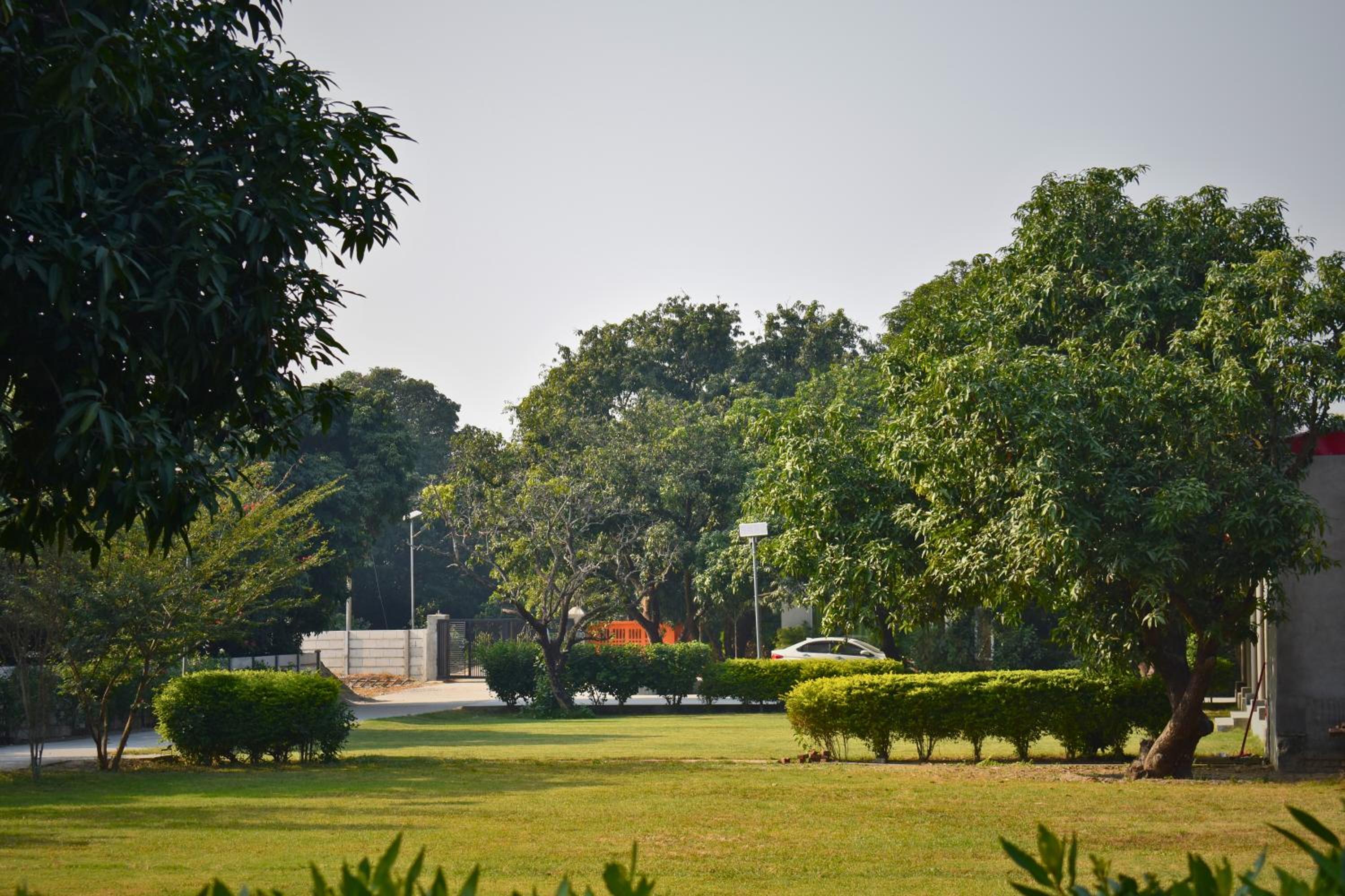 The Greenwich resort