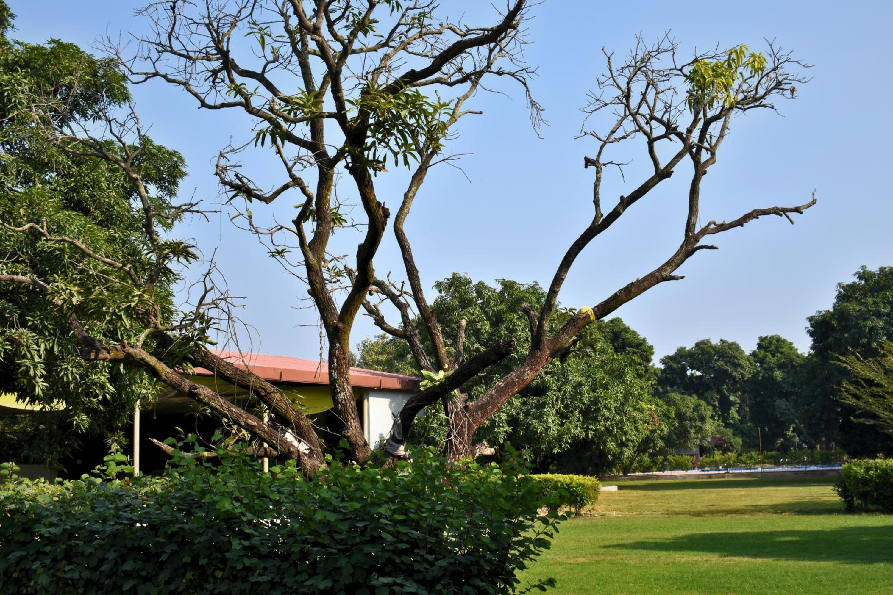 The Greenwich resort