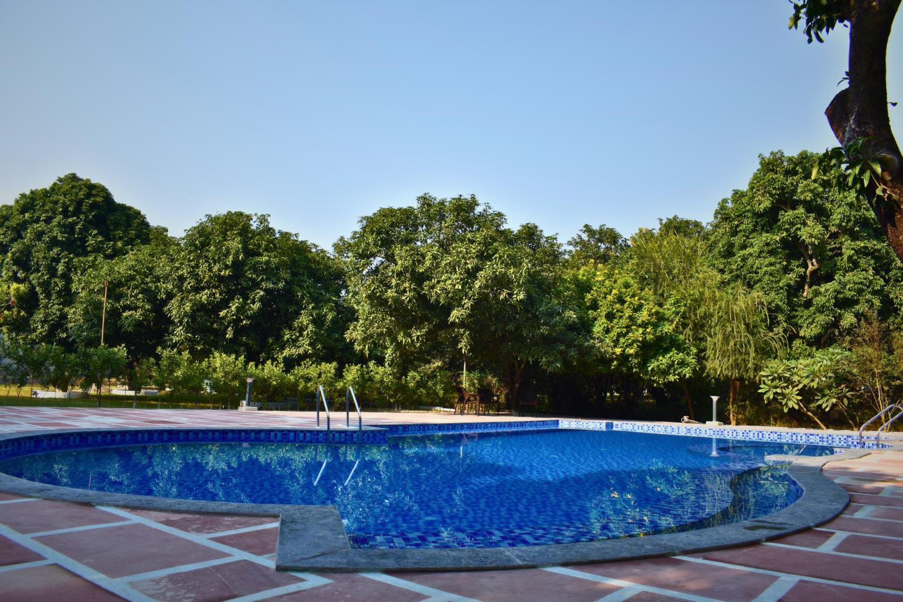The Greenwich resort