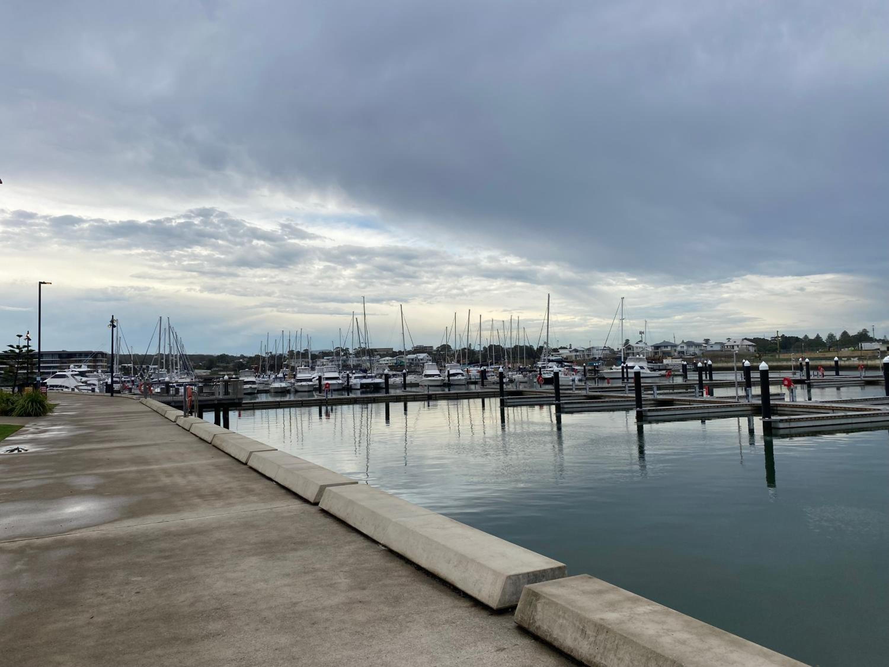 Marina View Comfy Ensuite Room With Private Host and Dogs SOLO Guest Only