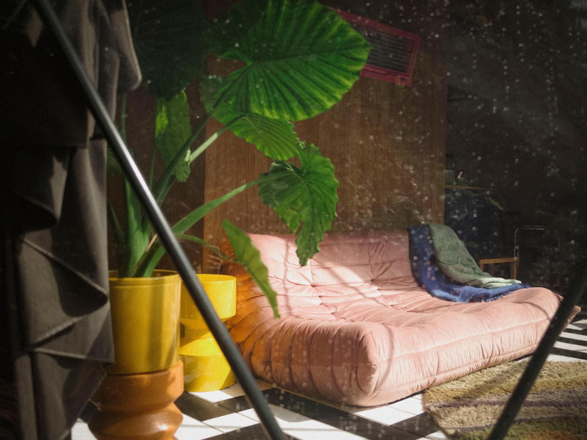 Stay Classy - Domes view 3