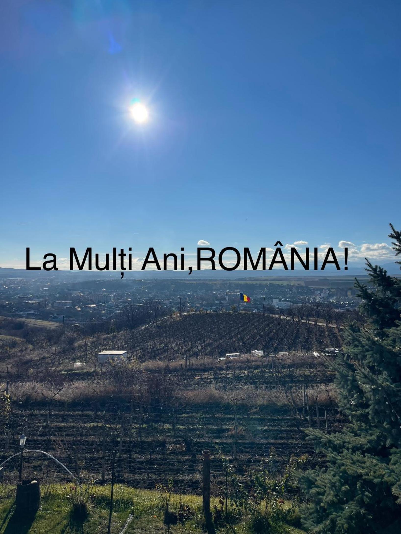 Wineyards Salin view 3