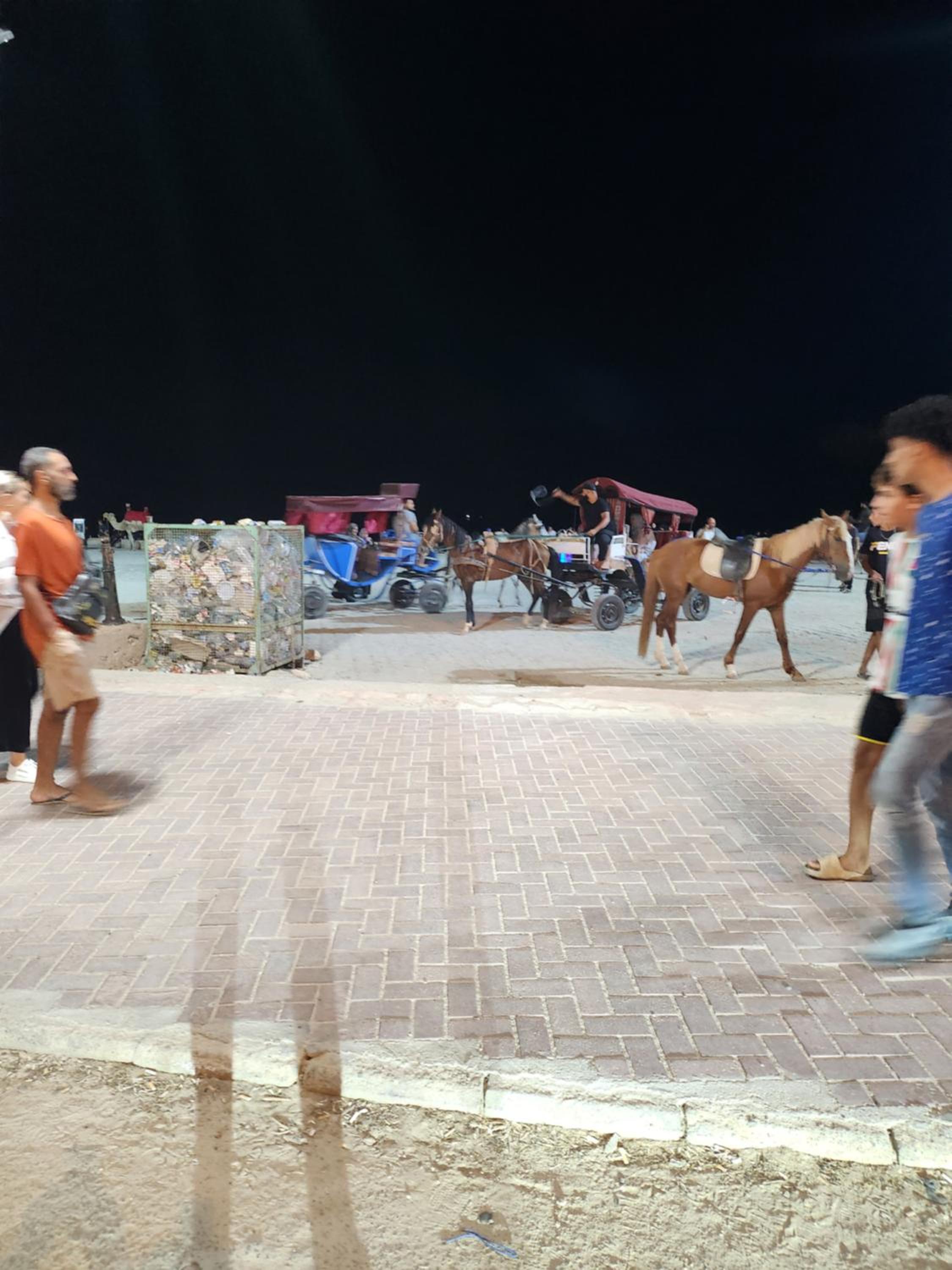 Une maison houmt souk djerba view 5
