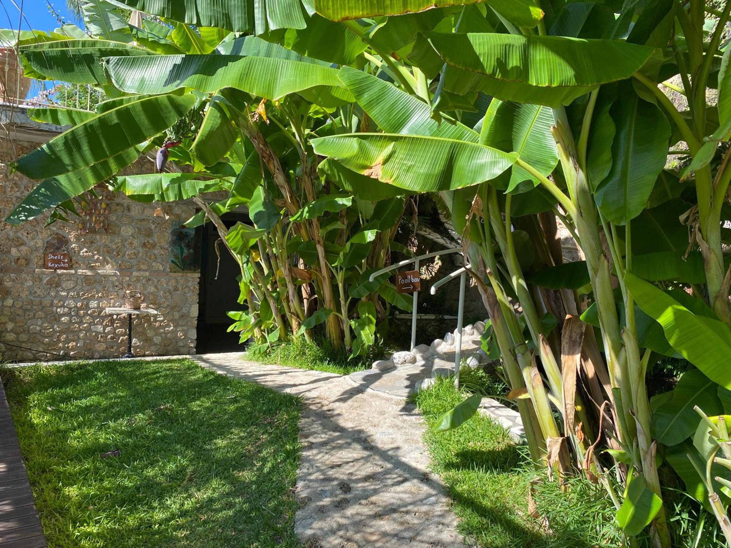 Filoxenia Olive Garden luxury villas and suites photo 4