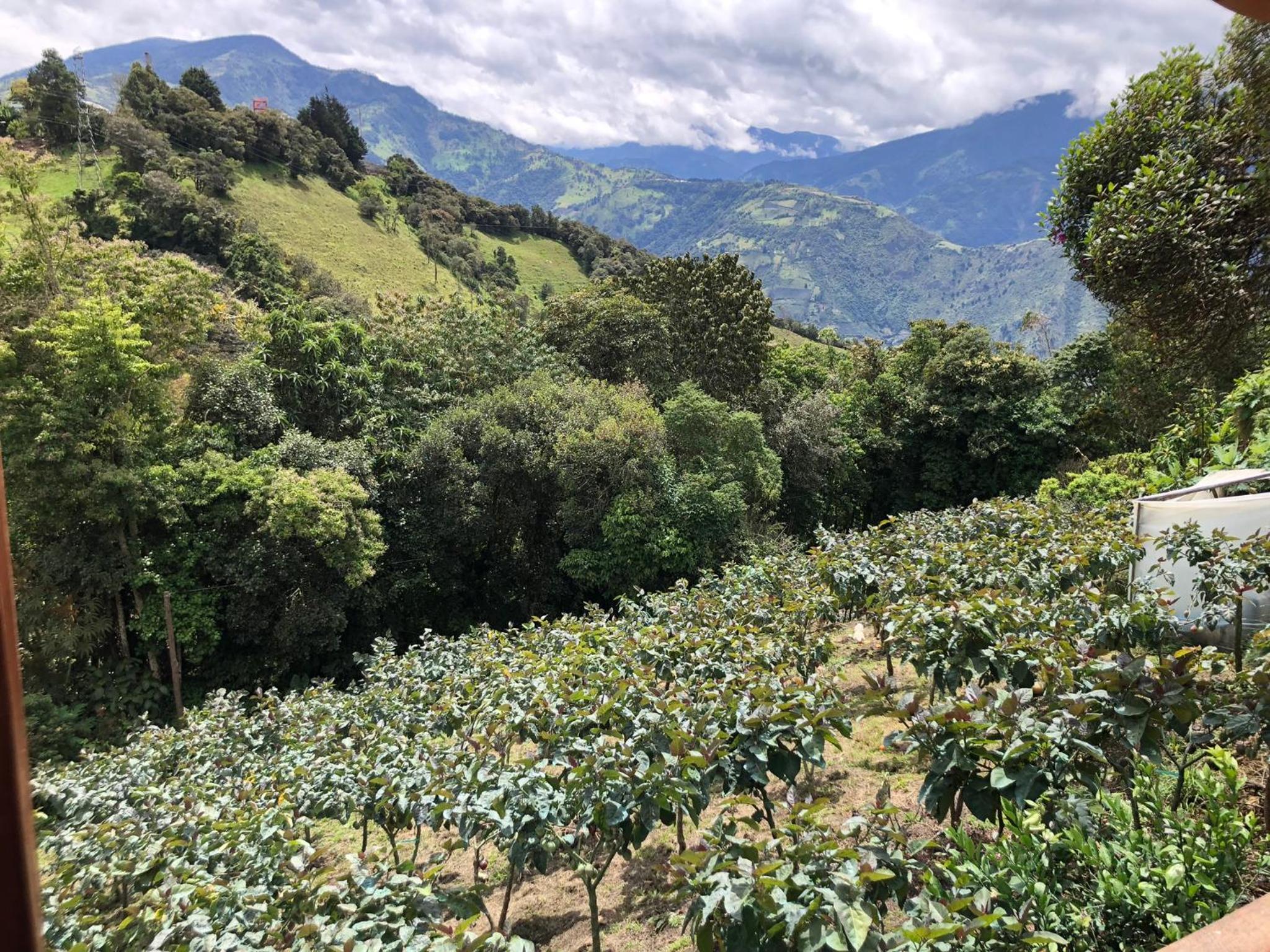 Hostería Las Orquídeas