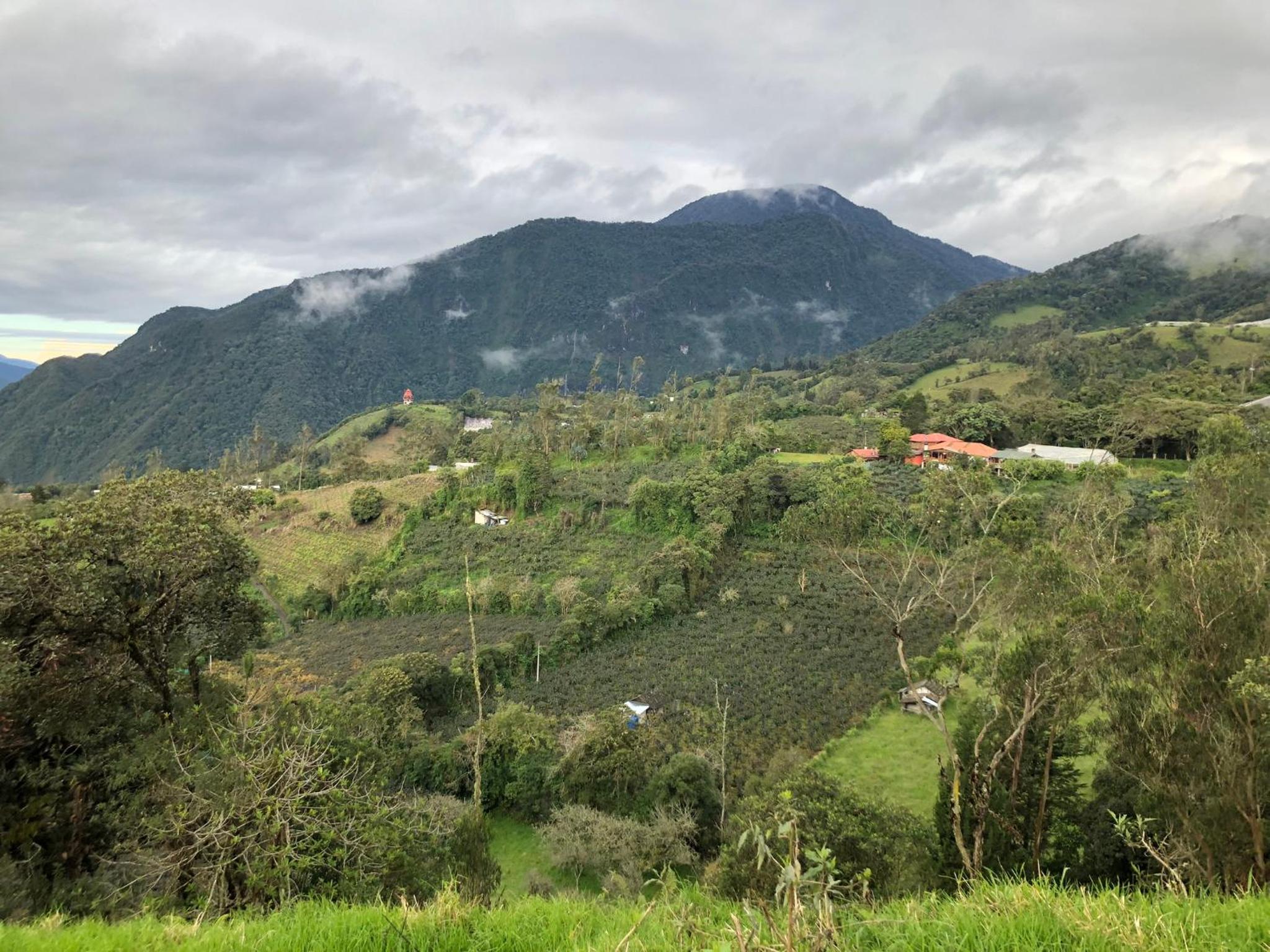Hostería Las Orquídeas