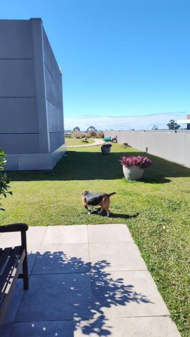 Magnifico apartamento no Campeche