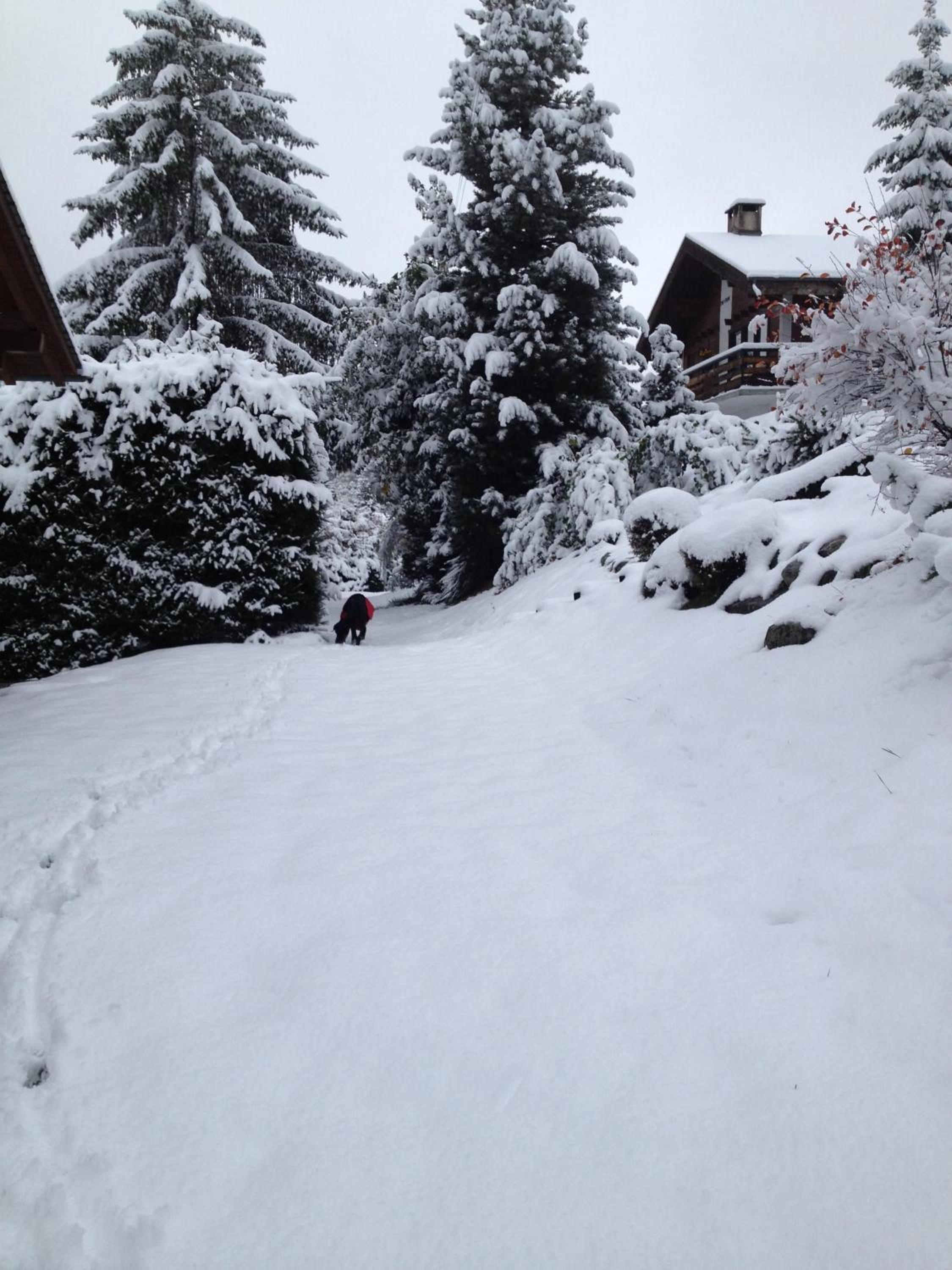 Chalet Taipan Verbier