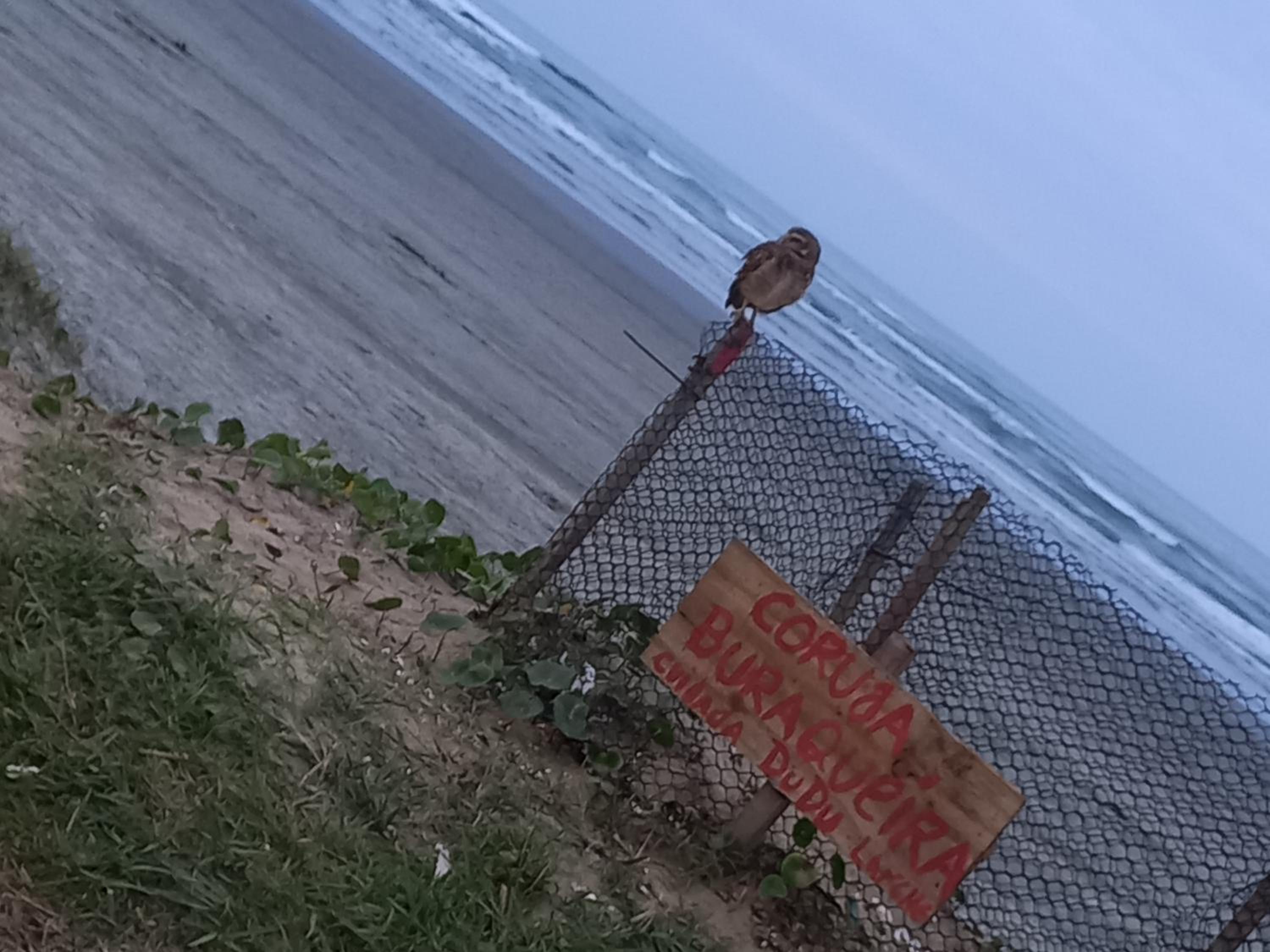 Edicula beira praia Gaivota