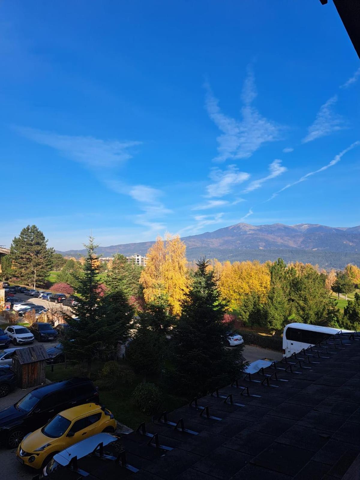 Pirin Golf hotel, Apartment Chalet style