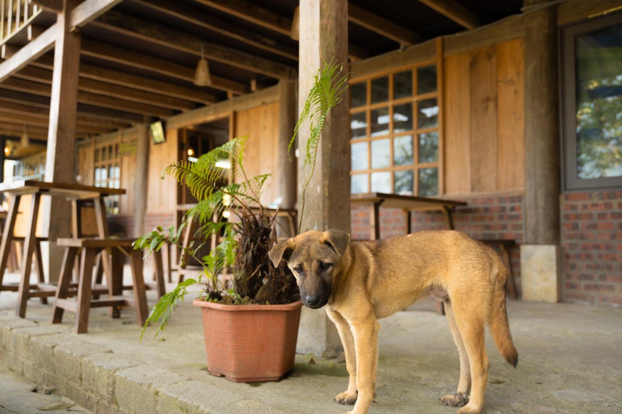 NaChi Homestay