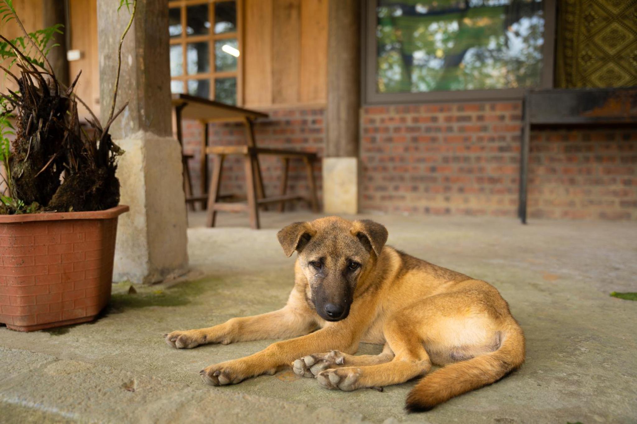 NaChi Homestay