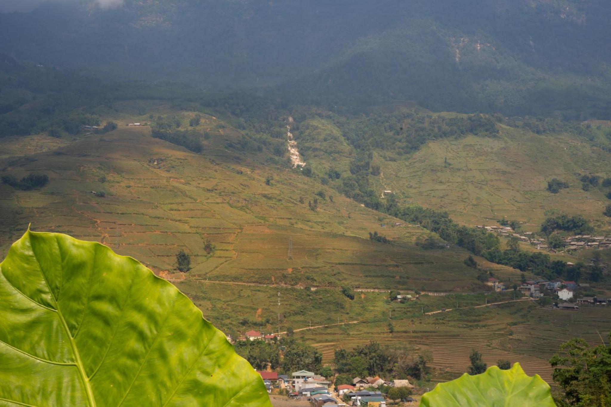NaChi Homestay